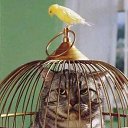 ���� ����, ������, 54 ���� - ��������� 31 ������� 2013 � ������ �������������