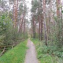  , -, 64  -  9  2013       2013