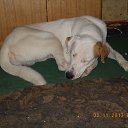 ���� Vitaliy, �������, 63 ���� - ��������� 8 ������� 2013 � ������ ���� ��������� � �� ��������� �������