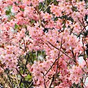 ���� ������, �����-���������, 61 ��� - ��������� 10 ����� 2014 � ������ ��������� ������, ������ 2012�