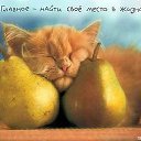 ���� �������, �����-��������� - ��������� 10 ������ 2014 � ������ ���� ����������