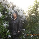 ���� �����, ���������� �����, 72 ���� - ��������� 30 ������� 2013 � ������ ���� ����������