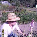 ���� ������, ������, 72 ���� - ��������� 26 �������� 2013