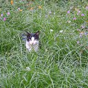 ���� ���� ���������, ������, 69 ��� - ��������� 28 �������� 2013 � ������ ����������