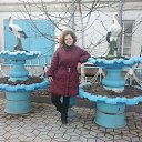  Darina,  -  2  2014    