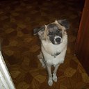 ���� ���������, ������, 75 ��� - ��������� 22 ������ 2013 � ������ ���� ����������