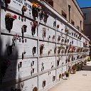 ��������. ����� � ����������� ���������. �. ������� �� ������� ���� ����������