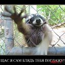 ���� �����, �������� - ��������� 11 �������� 2013 � ������ ���� ����������
