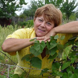 Elena, �������, 70 ���
