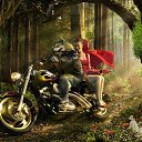  , -, 51  -  19  2014    