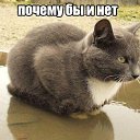  , , 47  -  15  2013   .....