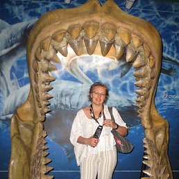 ���� �������, ����������, 46 ��� - ��������� 21 ������ 2014