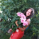 ���� �����������, ���������, 33 ���� - ��������� 16 �������� 2013 � ������ ���� ����������