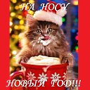 ���� ��������, �����-���������, 67 ��� - ��������� 31 ������� 2013 � ������ ������ ��������