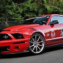  , - -  12  2013   Mustang