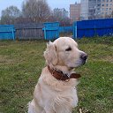 ���� Valery, ������, 55 ��� - ��������� 20 ������ 2013 � ������ ���� ����������