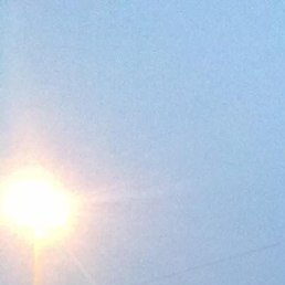 �����, �����������, 41 ���