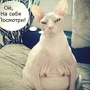 ���� ������, ������, 46 ��� - ��������� 5 ������� 2014 � ������ ���� ����������