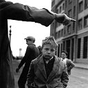 ���� Alegator ��������, ������, 38 ��� - ��������� 10 ������� 2013