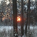 ���� ������, ����������, 55 ��� - ��������� 22 ������� 2013 � ������ ������ � "������" ������� 2013�