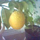 ���� ��������, ����� - ��������� 3 ����� 2014 � ������ ��฻