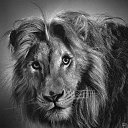 ���� �������, �������� - ��������� 10 ������� 2014 � ������ ���� ����������