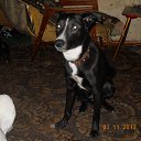 ���� Vitaliy, �������, 63 ���� - ��������� 8 ������� 2013 � ������ ���� ��������� � �� ��������� �������