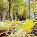 ������� �����... �� ������� �������