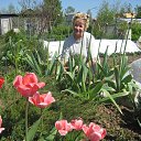 ����� ��� ���� � �������, ������ ��� ����. � ������ ���� � �������.��� ����� �������.