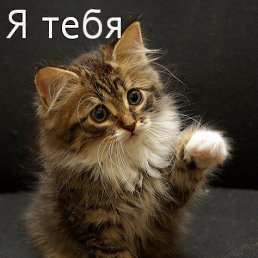 Vladimir, ����-���������, 62 ����