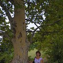 ���� �����, ������, 58 ��� - ��������� 5 ������� 2013 � ������ ���� ����������