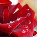 ���� Asssssssssollllllll, ����������� - ��������� 25 ������ 2014 � ������ ���� ����������