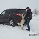 ���� ��������, ��������, 56 ��� - ��������� 22 ������� 2013
