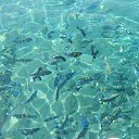 ���� ������, ������������ - ��������� 12 ����� 2014 � ������ ������� 2014�