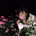 ������� ����� �� ������� ����� ��� ������������