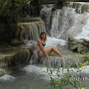 ���� ����, ���, 61 ��� - ��������� 31 ������� 2013 � ������ ���� ����������