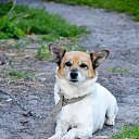 ���� �������, ���������, 52 ���� - ��������� 14 ������� 2013 � ������ ���� ����������