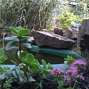 ���� �����, ������������, 56 ��� - ��������� 16 �������� 2013 � ������ ����� � ����