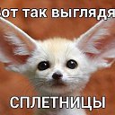 ���� ����, ������ - ��������� 12 ������ 2014 � ������ ���� ����������