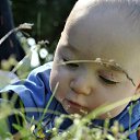 ���� ���������, ����������� - ��������� 17 ������ 2013 � ������ ���� ����������