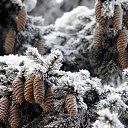 ���� ��������, ������, 56 ��� - ��������� 25 ������ 2013 � ������ �������� ������