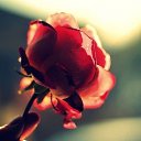 ���� �������, ������, 55 ��� - ��������� 15 ������� 2014 � ������ ������� �����