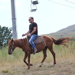 �����, ������ ��������, 44 ����