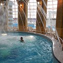  , -, 64  -  17  2013     .  .