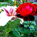 ���� ������� �., ����� - ��������� 5 ������� 2013 � ������ �������