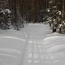 ����� �������� �� ������� ������� ���2014�