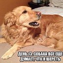 ���� ���, ������� - ��������� 10 ������� 2013