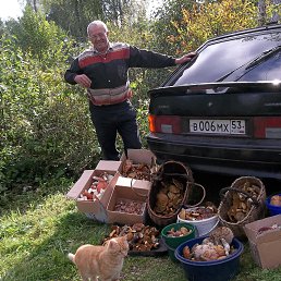 ����� ������� �� ������������ ������, ��� ������ �������� ����