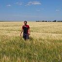 ���� ������, �������, 43 ���� - ��������� 11 ������� 2013 � ������ ���� ����������