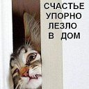���� *˸�����*, ������ - ��������� 23 ������� 2014 � ������ ���� ����������